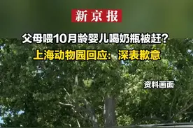 父母喂10月龄婴儿喝奶瓶被赶？ 上海动物园回应：深表歉意视频封面