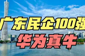 2024年广东省民营企业百强榜出炉，广州22家，佛山17家 近日视频封面