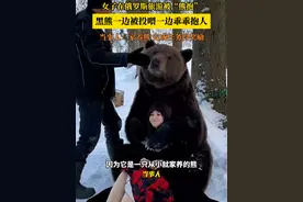 女子在俄罗斯体验“熊抱”的温柔，#黑熊 一边被投喂一边乖乖抱人#网友：不喂零食的话，会罢工吗？视频封面
