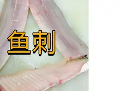 鱼身体里面长那么多小刺是用来干嘛的？专门来卡人嗓子的吗？