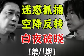 神级追捕剧情，血压太低必看【白夜破晓：第8期】 #白夜破晓视频封面