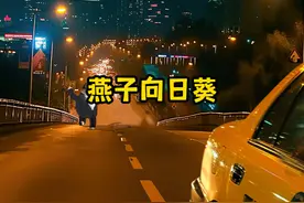 你要开心，你要幸福！#燕子没有你我怎么活啊视频封面