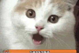 就这阵容谁看了不心动啊！ #汽水音乐节开票