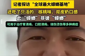 探访“全球最大蟑螂基地”，生吃活“蟑螂”：爆浆  特别香  核桃味、双皮奶口感，可用于治疗胃溃疡 口腔溃疡 烧伤烫伤等多种病症（畅）