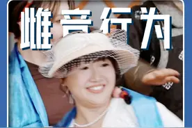 为什么麦琳总是和黄圣依比容貌？原来性格早已经决定 #麦琳 #葛夕 #黄圣依 #雌竞