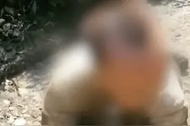3月13日，广西河池，#官方通报男童无人看管独自爬行  ：寻找父母无果，已送往福利院，公安机关已介入调查。视频封面
