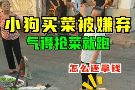 小狗第一次买菜被嫌弃 #狗狗成精了 #狗狗买菜视频封面