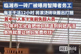临湘市一砖厂被曝用智障者务工，每天干活12小时，将滚烫砖块搬出打捆，其中一人系十年前失踪人员，“过年时工头会把他们转送到其他地方干活，条件就是让他们免费吃住”（原创采访）视频封面