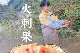 一到冬天满山遍野都是红彤彤的火刺果，在古时候人们称它“救军娘”用它做的米糕，酸酸甜甜的很开胃。#新农人计划2024 #纯天然野果 #农村美食 #我的乡村生活
