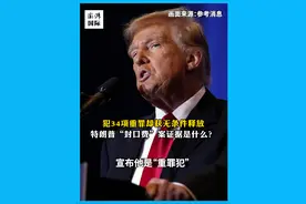 犯34项重罪却获无条件释放，特朗普“封口费”案证据是什么？ 当地时间1月10日，美国纽约州最高法院法官就当选总统特朗普“封口费”案进行判决，裁定特朗普在此案中34项罪名成立，但无条件释放，不予任何惩罚。#媒体精选计划视频封面