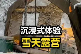 雪地森林中搭建帐篷，带着可爱小猫一起露营，惬意享受户外生活！