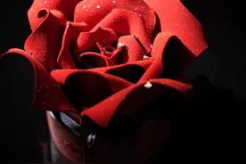 我用草莓做了一朵玫瑰花 你知道这朵花是什么样的吗？