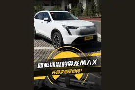 四驱插混的#枭龙Max 开起来感受如何？#懂车帝抢先试驾视频封面