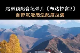 #赵丽颖配音布达拉宫2   #赵丽颖闯入配音赛道，实力太强了~#西藏 #布达拉宫视频封面