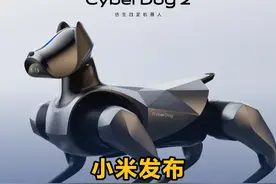 小米发布第二代“铁蛋”机器狗，自研力控电机、多重仿生、支持开源，12999元的电子狗你会养吗？#小米机器狗铁蛋 #21视频 #2023雷军年度演讲
