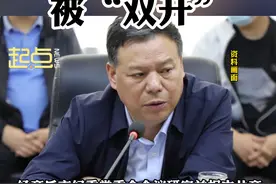 陈源严重违纪违法，被“双开”视频封面