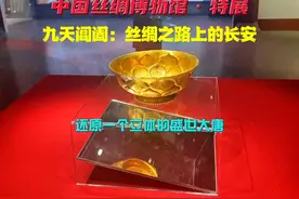 中国丝绸博物馆特展——九天阊阖：丝绸之路上的长安视频封面