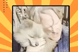 这一刻，他又重新拥有了他的全世界 #洛杉矶山火 #狗 #感人视频封面