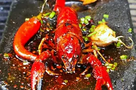 水坑里抓了一只龙虾，放石板上烤麻辣小龙虾，配上野菜汤好吃极了视频封面
