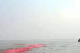 天凉了，该给孩子准备长款的家居服了！#儿童家居服#儿童睡衣视频封面