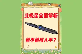 三角洲行动 最高伤害的刀皮 北极星全面解析~ #三角洲行动