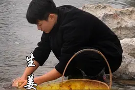 冬吃生姜，不怕风霜，用小黄姜做了些生姜素和姜撞奶，暖胃暖心 #生姜 #农村美食 #我的乡村生活 #乡村守护人 #生姜的妙用视频封面