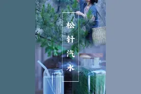 在古代，夏天想喝汽水怎么办？用松针自制雪碧#二十四节气 #我的乡村生活 #寻找古籍守护人 @抖音创作者中心 @DOU+小助手