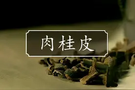 原来肉桂粉是用树皮制作的 #肉桂 #中药 #肉桂粉 #药草视频封面