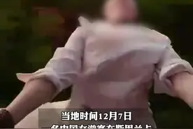 中国游客国外探出火车拍视频遭树枝打头意外坠车，当地警方: 落在灌木丛 仅擦伤（剪辑：乐希）视频封面