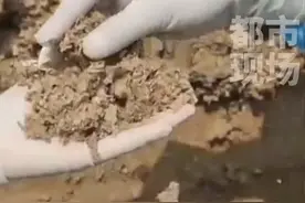 某公司申报进口一批“再生纸浆” 共计1381.25吨！ 海关总署：洋垃圾哪来的回哪去！#社会新闻 #洋垃圾 #武汉新港 视频封面