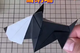 立体折纸雪纳瑞小狗教程 #手工diy #纸艺手工 #抖音创作季