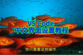 如何将VS Code的英文界面轻松切换为中文 对于很多使用VS