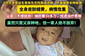 4月大男婴出生患有先天性胆道闭锁、肝衰竭等多种疾病！全身皮肤蜡黄，病情危重，父亲：不想放弃！换肝要30多万，忧虑治疗费用！虽然只靠父亲种地，但一家人绝不放弃！#广西小黄人千里转运北京  #广西小明千里转运换肝 #广西4月大婴儿小明转运北京 #广西“小黄人”