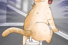 猫这一坐，以后喝水都有味了 #猫咪 #调皮小捣蛋 #宠物 #办公室养猫 #二次元星启计划视频封面