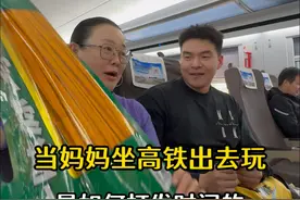 e人老妈如何在高铁上和陌生人快速成为朋友？今天在高铁上遇见了小粉丝哈哈，下次再吃点什么好呢～#日常vlog #高铁 #芒果糯米饭 #韩式冷面 #e人视频封面