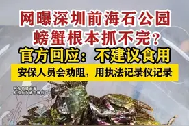 【#网曝深圳前海石公园螃蟹根本抓不完】官方回应：不建议食用，安保人员会劝阻，用执法记录仪记录。#深圳dou知道视频封面