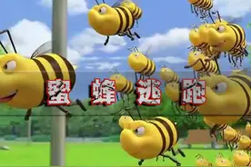 被一群蜜蜂追的正确逃生方法。 #动画科普 #科普一下 #涨知识视频封面
