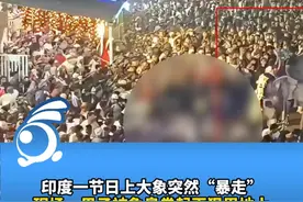 印度一节日上大象突然“暴走”现场一男子被象鼻卷起再狠甩地上。 视频封面