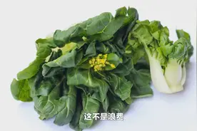 #为何广东人要把菜心的花摘掉？视频封面
