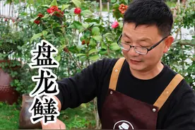 湖北传统名菜盘龙鳝你们会不会做？不去内脏直接下锅炒！麻辣鲜香，下酒又下饭！#跟着抖音学做菜 #湖北特色美食 #农村美食 #家乡特色视频封面