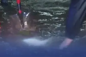 8月26日夜间，山东东营遭遇罕见强降雨天气，单小时雨量超100毫米，2小时雨量达190毫米。截至8月27日6时，全市平均降水量194.7毫米，最大降雨量为垦利永安站点，为381.4毫米。#暴雨视频封面