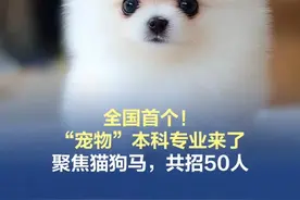 【全国首个“宠物”本科专业来了！】 全国首个“宠物”本科专业今年在中国农业大学设立，目前正在招生中。能光明正大“撸猫撸狗”还能拿本科学位？你心动了吗？#全国首个宠物本科专业来了视频封面