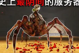 这些都是什么东西啊！cs1.6史上最阴间的服务器之一 #反恐精英视频封面