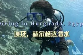 环球旅行1793天：210元两潜红海，这价格还包含丰盛自助餐视频封面