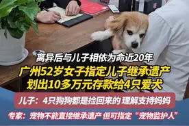 离异后与儿子相依为命近20年 广州52岁女子指定儿子继承遗产 划出10多万元存款给4只爱犬 儿子：4只狗狗都是捡回来的 理解支持妈妈 专家：宠物不能直接继承遗产 但可指定“宠物监护人”#广州 #广东dou知道 #本地新闻 #热点