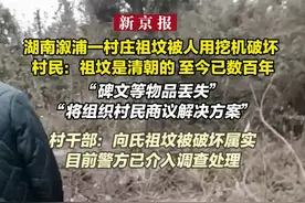 湖南溆浦一村庄祖坟被人用挖机破坏 村民：祖坟是清朝的 至今已数百年 “碑文等物品丢失”“将组织村民商议解决方案”村干部：向氏祖坟被破坏属实 目前警方已介入调查处理视频封面