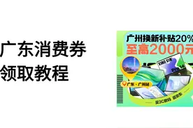 广东消费券领取教程，小白也能学会 这个消费券，有8个品类可以用