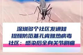 7月24日，深圳多个社区发通知，提醒居民防范基孔肯雅热病毒，《第一现场》记者致电相关社区，“情况属实，发通知是为了提醒大家注意防蚊，一旦被感染将出现剧烈关节痛等症状。”#深圳  #基孔肯雅热  #防蚊 @抖音短视频