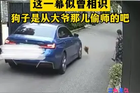监控拍下狗子“凌波微步”躲车 这一幕似曾相识 狗子是从大爷那儿偷师的吧 
来源：@Xuhui（增肌版）视频封面