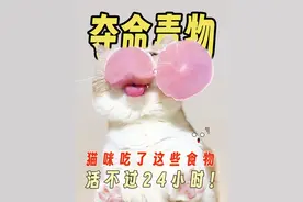 🚫猫咪饮食禁忌：这些食物别喂‼️ 🚫️ 奶茶、啤酒、茶水：含咖啡因，猫咪无法代谢，剧毒。🚫️  
🚫️ 野生鱼类：重金属超标，刺伤肠胃，黄色脂肪症，过敏。🚫️  
🚫️ 杏仁、松子、榛子、腰果：过敏呕吐，严重可致麻痹。🚫️  
🚫️ 巧克力、冰淇淋：9克巧克力、14毫克咖啡因、10毫升酒精可危及生命。🚫️  
🚫️ 葱姜蒜：急性溶血性贫血，误食过量无药可救。🚫️  
💬️ 转发收藏，避免猫咪误食，保护它们的健康！📢
﻿#新手养猫 ﻿ ﻿#养猫经验分享 ﻿  ﻿#猫咪健康 ﻿ ﻿#科学养猫 ﻿ ﻿#猫咪饮食